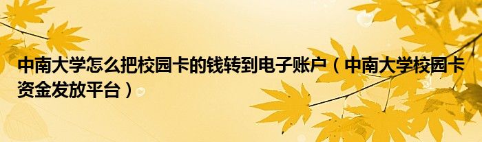 中南大學(xué)怎么把校園卡的錢轉(zhuǎn)到電子賬戶（中南大學(xué)校園卡資金發(fā)放平臺(tái)）