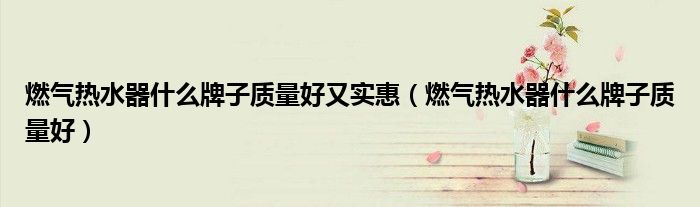燃?xì)鉄崴魇裁磁谱淤|(zhì)量好又實(shí)惠（燃?xì)鉄崴魇裁磁谱淤|(zhì)量好）