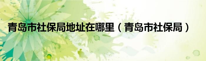 青島市社保局地址在哪里（青島市社保局）