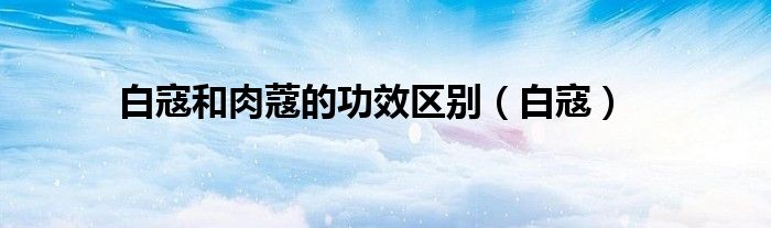白寇和肉蔻的功效區(qū)別（白寇）
