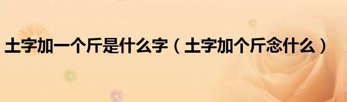 土字加一個斤是什么字（土字加個斤念什么）