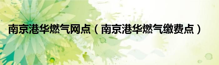 南京港華燃?xì)饩W(wǎng)點(diǎn)（南京港華燃?xì)饫U費(fèi)點(diǎn)）