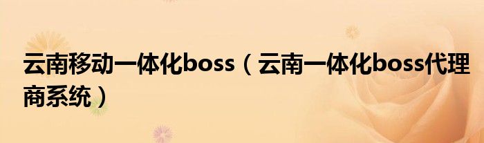 云南移動(dòng)一體化boss（云南一體化boss代理商系統(tǒng)）