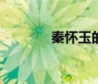 秦懷玉的妻子是誰（秦懷玉）