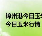 錦州港今日玉米行情2024年1月9日（錦州港今日玉米行情）