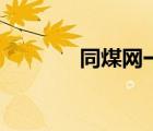 同煤網(wǎng)一年多少錢(qián)（同煤網(wǎng)）