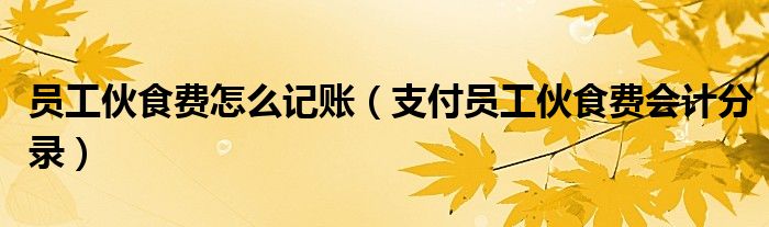 員工伙食費(fèi)怎么記賬（支付員工伙食費(fèi)會(huì)計(jì)分錄）