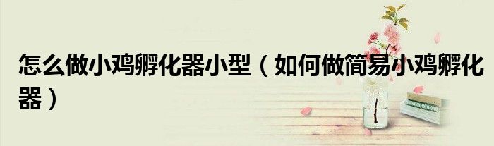 怎么做小雞孵化器小型（如何做簡(jiǎn)易小雞孵化器）