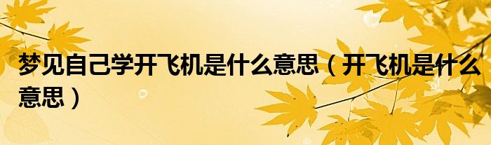 夢見自己學(xué)開飛機是什么意思（開飛機是什么意思）
