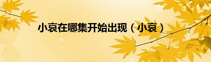 小哀在哪集開始出現(xiàn)（小哀）