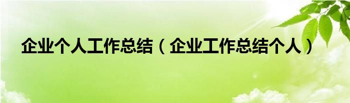 企業(yè)個(gè)人工作總結(jié)（企業(yè)工作總結(jié)個(gè)人）