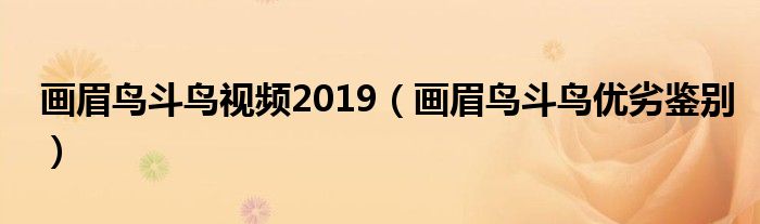 畫眉鳥斗鳥視頻2019（畫眉鳥斗鳥優(yōu)劣鑒別）