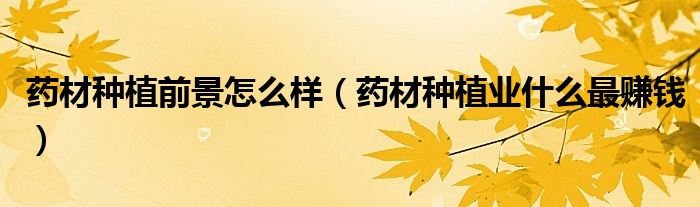 藥材種植前景怎么樣（藥材種植業(yè)什么最賺錢）
