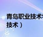青島職業(yè)技術(shù)學(xué)院招生官網(wǎng)2023（青島職業(yè)技術(shù)）