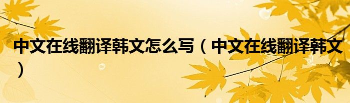 中文在線翻譯韓文怎么寫（中文在線翻譯韓文）