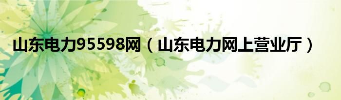 山東電力95598網(wǎng)（山東電力網(wǎng)上營業(yè)廳）