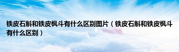鐵皮石斛和鐵皮楓斗有什么區(qū)別圖片（鐵皮石斛和鐵皮楓斗有什么區(qū)別）