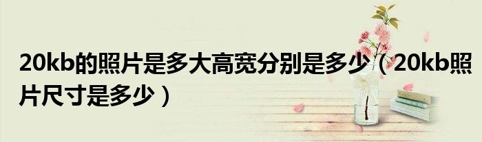 20kb的照片是多大高寬分別是多少（20kb照片尺寸是多少）