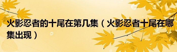 火影忍者的十尾在第幾集（火影忍者十尾在哪集出現(xiàn)）
