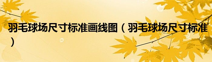羽毛球場(chǎng)尺寸標(biāo)準(zhǔn)畫線圖（羽毛球場(chǎng)尺寸標(biāo)準(zhǔn)）
