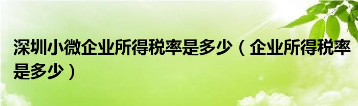 深圳小微企業(yè)所得稅率是多少（企業(yè)所得稅率是多少）