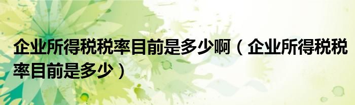 企業(yè)所得稅稅率目前是多少?。ㄆ髽I(yè)所得稅稅率目前是多少）