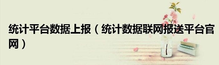 統(tǒng)計平臺數(shù)據(jù)上報（統(tǒng)計數(shù)據(jù)聯(lián)網(wǎng)報送平臺官網(wǎng)）