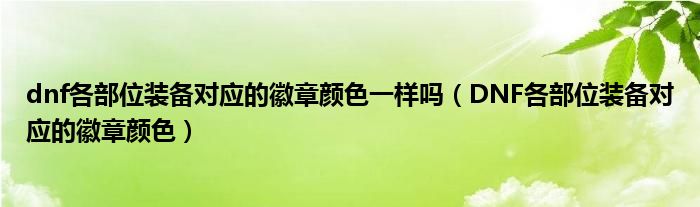dnf各部位裝備對(duì)應(yīng)的徽章顏色一樣嗎（DNF各部位裝備對(duì)應(yīng)的徽章顏色）