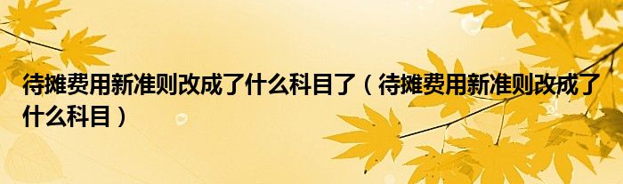 待攤費(fèi)用新準(zhǔn)則改成了什么科目了（待攤費(fèi)用新準(zhǔn)則改成了什么科目）