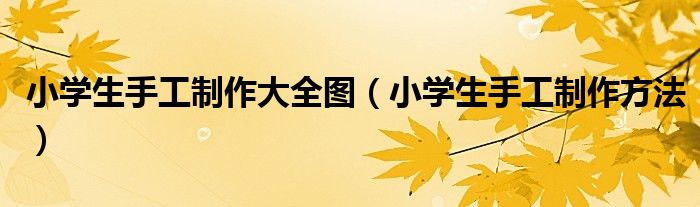 小學生手工制作大全圖（小學生手工制作方法）