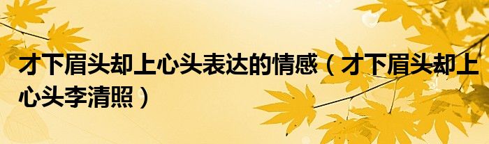 才下眉頭卻上心頭表達(dá)的情感（才下眉頭卻上心頭李清照）
