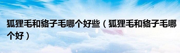 狐貍毛和貉子毛哪個好些（狐貍毛和貉子毛哪個好）