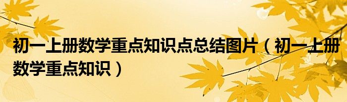 初一上冊(cè)數(shù)學(xué)重點(diǎn)知識(shí)點(diǎn)總結(jié)圖片（初一上冊(cè)數(shù)學(xué)重點(diǎn)知識(shí)）