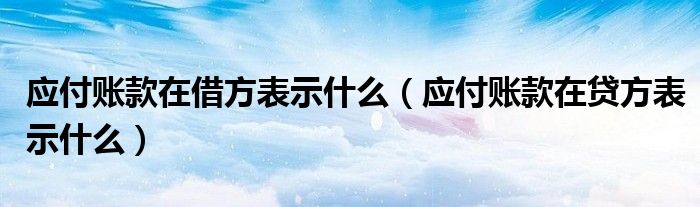 應(yīng)付賬款在借方表示什么（應(yīng)付賬款在貸方表示什么）