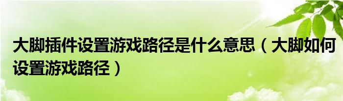 大腳插件設(shè)置游戲路徑是什么意思（大腳如何設(shè)置游戲路徑）