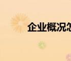 企業(yè)概況怎么寫范文（企業(yè)概況）