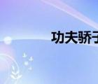 功夫驕子大結(jié)局（功夫驕子）