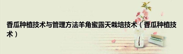香瓜種植技術(shù)與管理方法羊角蜜露天栽培技術(shù)（香瓜種植技術(shù)）