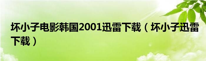壞小子電影韓國2001迅雷下載（壞小子迅雷下載）