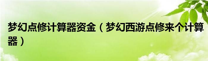 夢幻點(diǎn)修計(jì)算器資金（夢幻西游點(diǎn)修來個計(jì)算器）