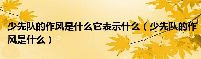 少先隊的作風是什么它表示什么（少先隊的作風是什么）
