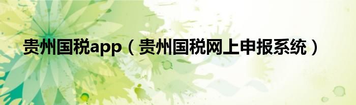 貴州國稅app（貴州國稅網(wǎng)上申報(bào)系統(tǒng)）