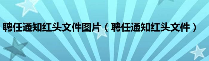 聘任通知紅頭文件圖片（聘任通知紅頭文件）