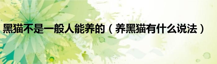 黑貓不是一般人能養(yǎng)的（養(yǎng)黑貓有什么說法）