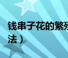 錢串子花的繁殖方法視頻（錢串子花的繁殖方法）