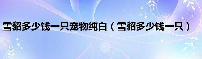 雪貂多少錢一只寵物純白（雪貂多少錢一只）