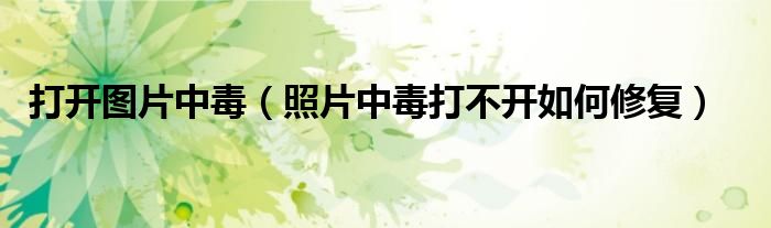 打開圖片中毒（照片中毒打不開如何修復）