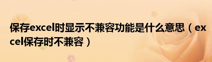 保存excel時顯示不兼容功能是什么意思（excel保存時不兼容）