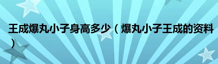 王成爆丸小子身高多少（爆丸小子王成的資料）