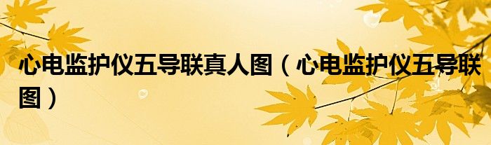 心電監(jiān)護儀五導(dǎo)聯(lián)真人圖（心電監(jiān)護儀五導(dǎo)聯(lián)圖）